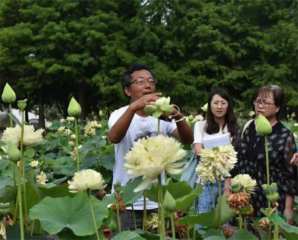 丁跃生向业内同行讲授荷花育种知识.jpg