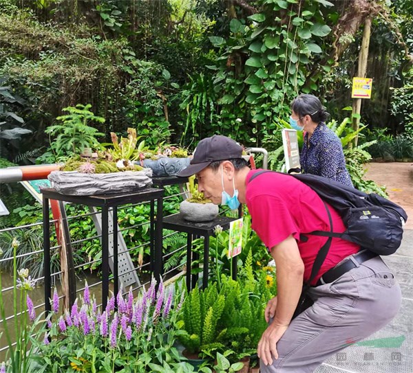 市民在展区驻足观看食虫植物.jpg